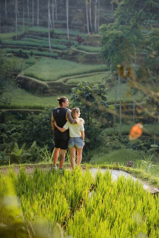 Ubud: Monkey Forest, Tirta Empul & Rice Terrace Day Tour - Discover Bali’s Natural and Cultural Gems in a Single Day