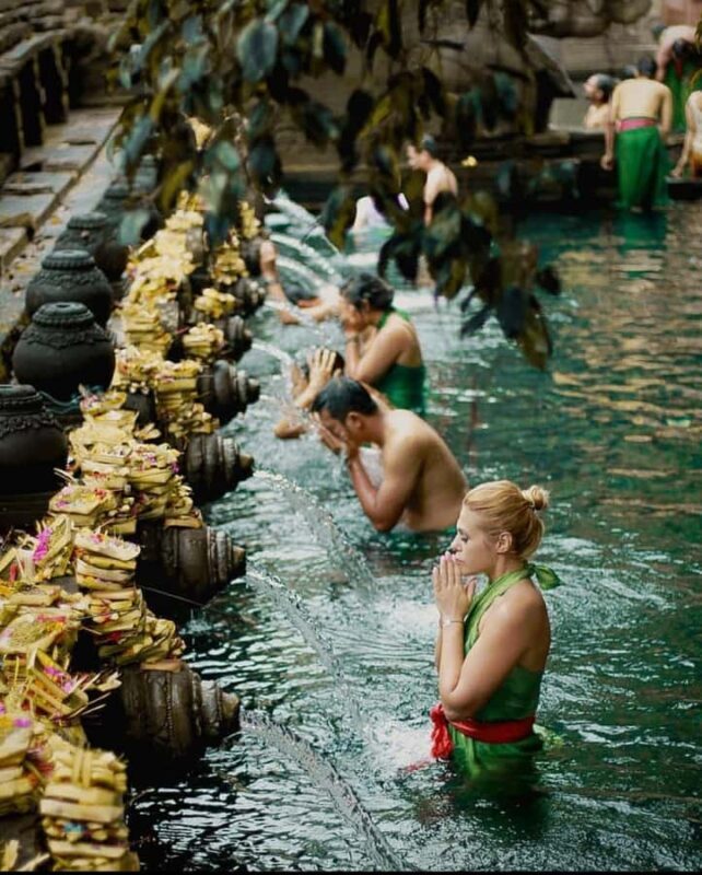 Ubud: Monkey Forest, Tirta Empul & Rice Terrace Day Tour - The Value of a Private, Guided Tour