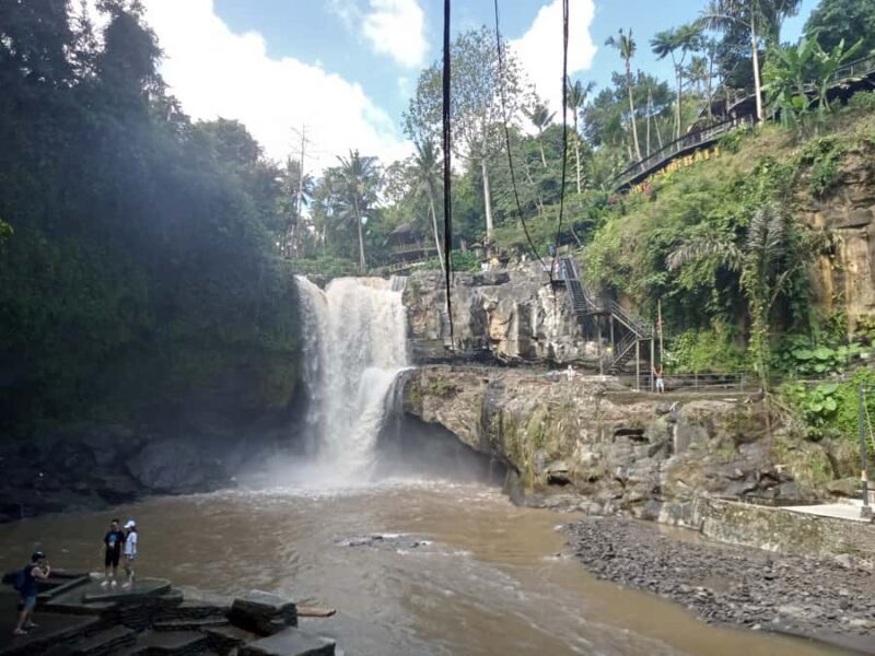 Ubud :Monkey forest, Water Temple and waterfall Private Tour - What Makes This Tour Stand Out?