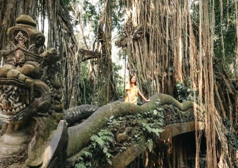 Ubud: Monkey Forest, Waterfall, and Rice Terrace Tour - An In-Depth Look at the Ubud Tour