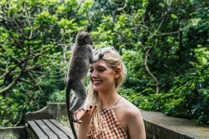 Ubud: Monkey Forest, Waterfall, and Rice Terrace Tour - Final Thoughts