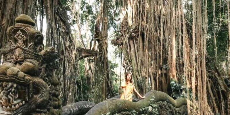 ubud-monkey-forest-waterfall-and-rice-terrace-tour