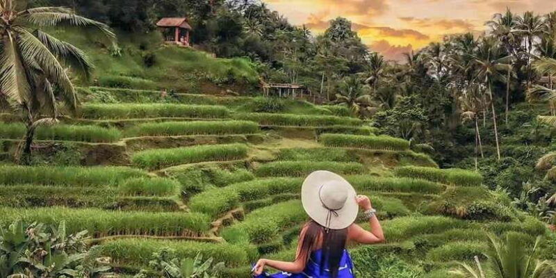 ubud-monkey-forest-waterfall-and-rice-terrace-tour