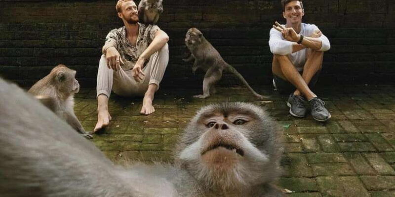 ubud-monkey-forest-waterfall-temple-and-rice-terrace-tour