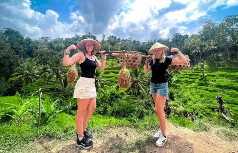 ubud-monkey-forest-waterfall-temple-rice-terraces-swing