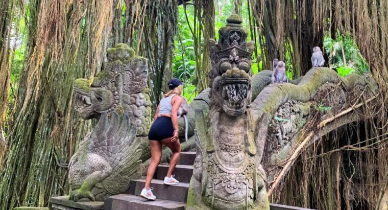 ubud-monkey-forest-waterfall-temple-rice-terraces-swing