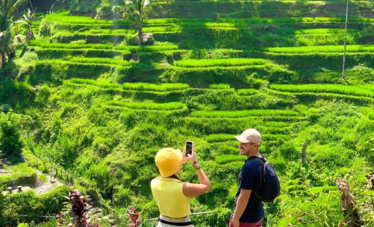 ubud-monkey-forest-waterfall-temple-rice-terraces-swing