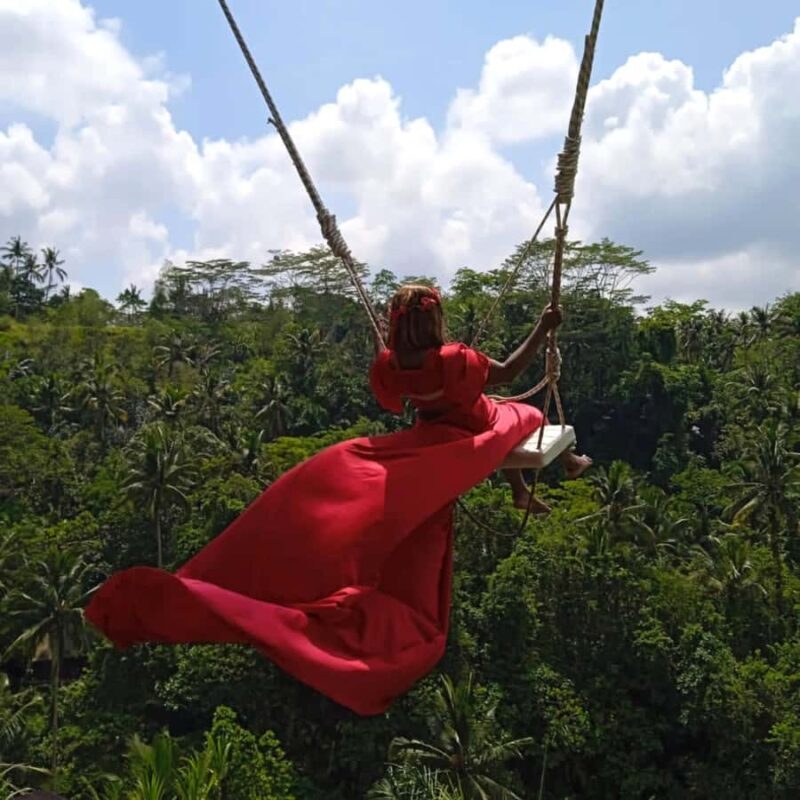 Ubud: Monkey Forest with North of Ubud and Happy Swings - What This Tour Means for You