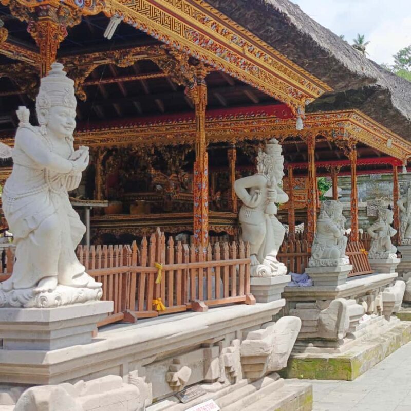 Ubud: Monkey Forest with North of Ubud and Happy Swings - Final Thoughts