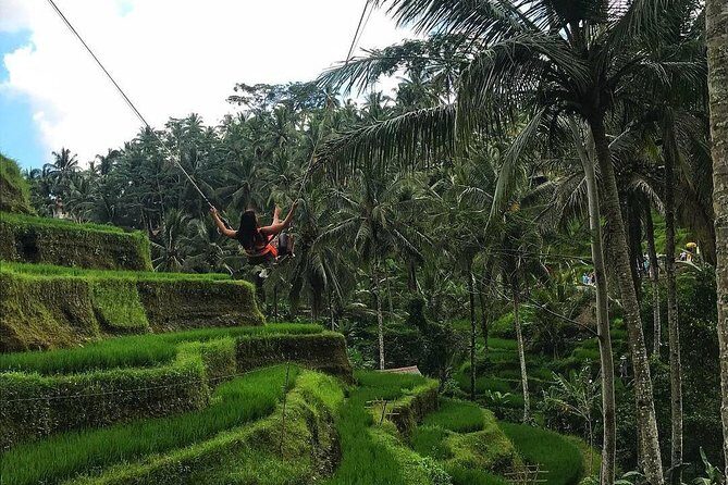 Ubud Nature Waterfall Tour - Exploring Bali’s Waterfalls and Scenic Spots