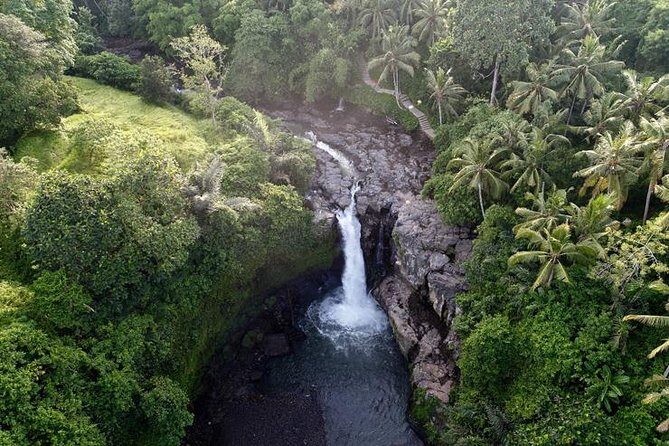 Ubud Nature Waterfall Tour - Who Should Book This Tour?