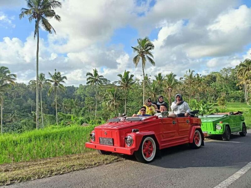 Ubud on the Road: VW Safari Tour Across Local Life of Ubud - Key Points