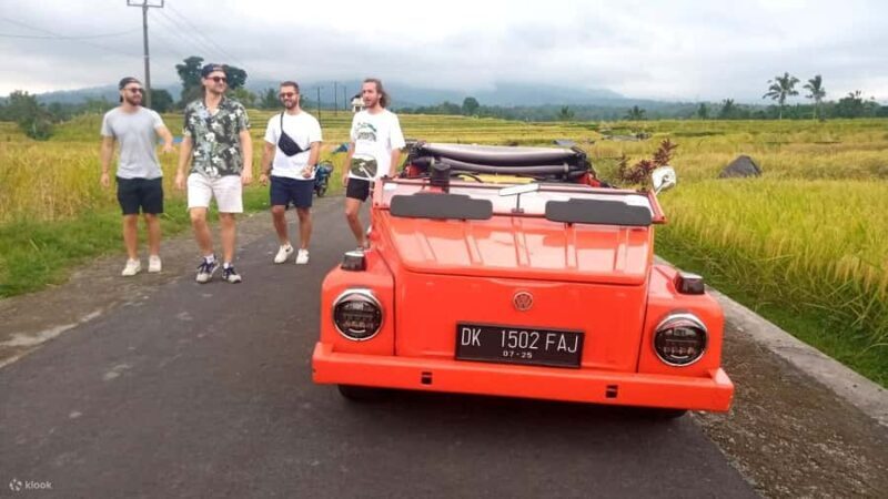 Ubud on the Road: VW Safari Tour Across Local Life of Ubud - Who Will Love This Tour?