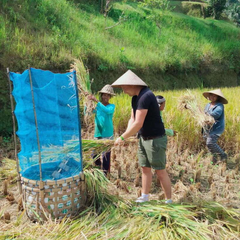 ubud-one-day-private-tour-with-driver-guide