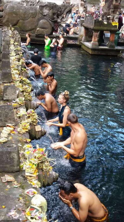 ubud-one-day-private-tour-with-driver-guide