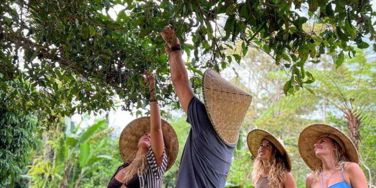 ubud-organic-farm-harvest-bali-cooking-class-by-pemulan