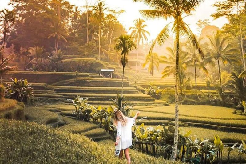 Ubud Premium Escape  Discover Bali's Hidden Paradise - An In-Depth Look at the Ubud Premium Escape