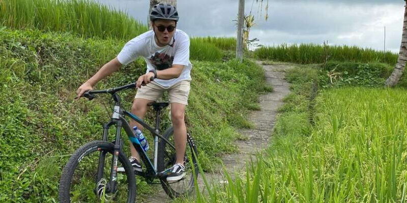 ubud-private-bike-tour-inside-rice-field-with-meal-pool