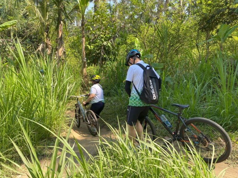 ubud-private-bike-tour-inside-rice-field-with-meal-pool