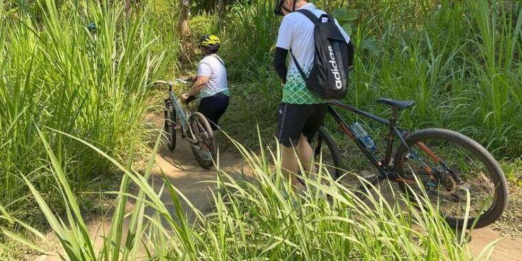 ubud-private-bike-tour-inside-rice-field-with-meal-pool