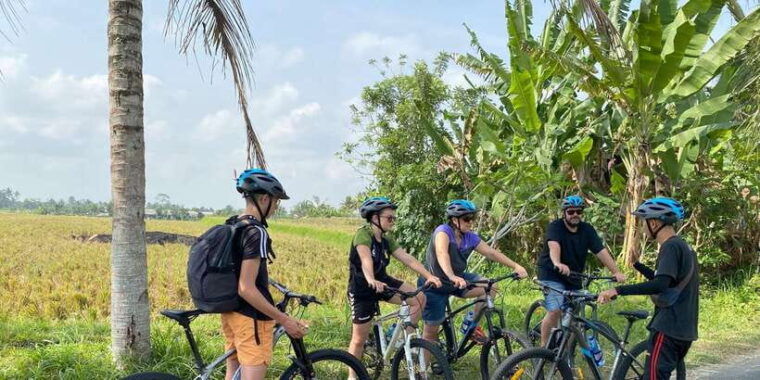 ubud-private-bike-tour-inside-rice-field-with-meal-pool