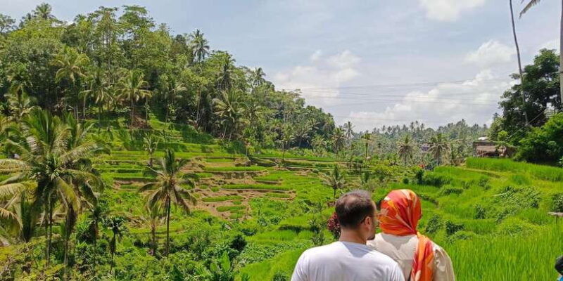 ubud-private-charter-car-10hours