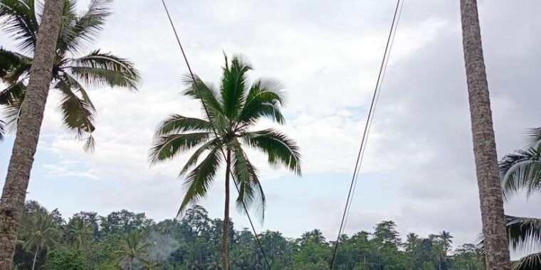 ubud-private-charter-car-10hours