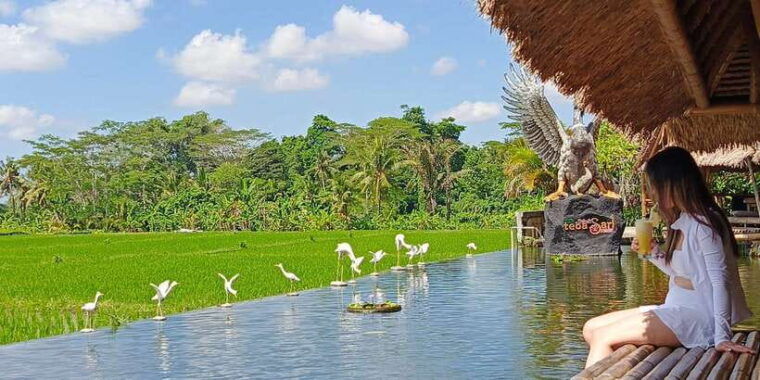 ubud-private-charter-car-10hours