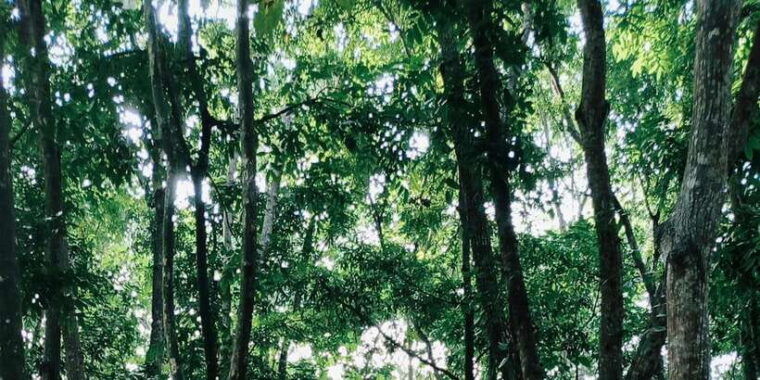 ubud-private-charter-car-10hours