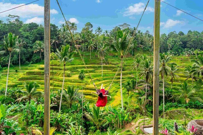 Ubud Private Chasing Waterfall and Water Temple Tour - The Enchanting Tegalalang Rice Terraces