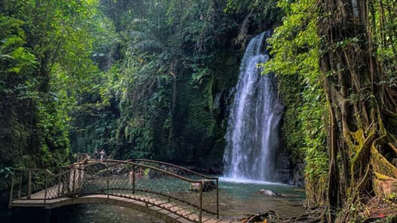 Ubud: Private Day Tour with Waterfall and Rice Terrace - Ubud: Private Day Tour with Waterfall and Rice Terrace