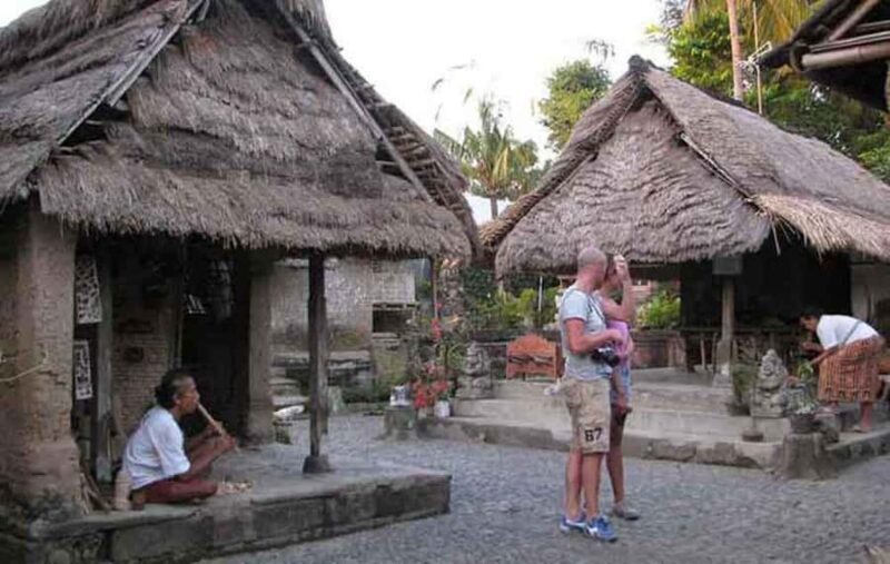 Ubud: Private Day Tour with Waterfall and Rice Terrace - Final Thoughts