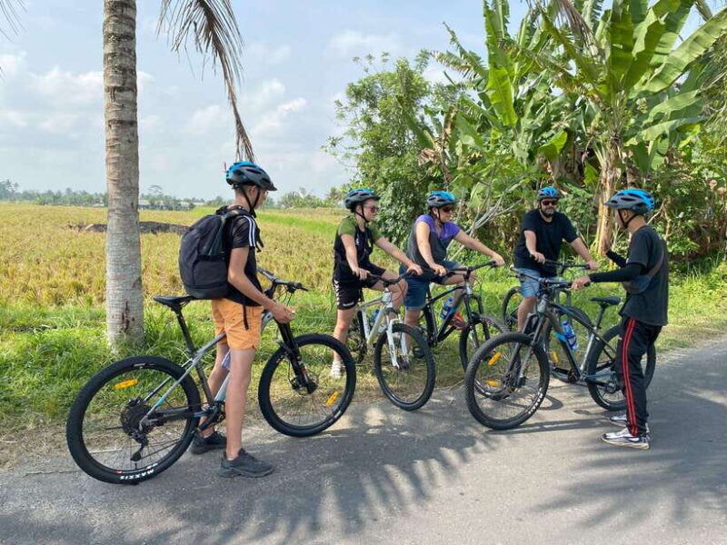 ubud-private-downhill-cycling-rice-fields-volcano-and-pool