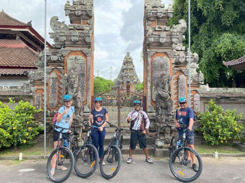 ubud-private-e-bike-tour-inside-rice-field-with-meal-pool