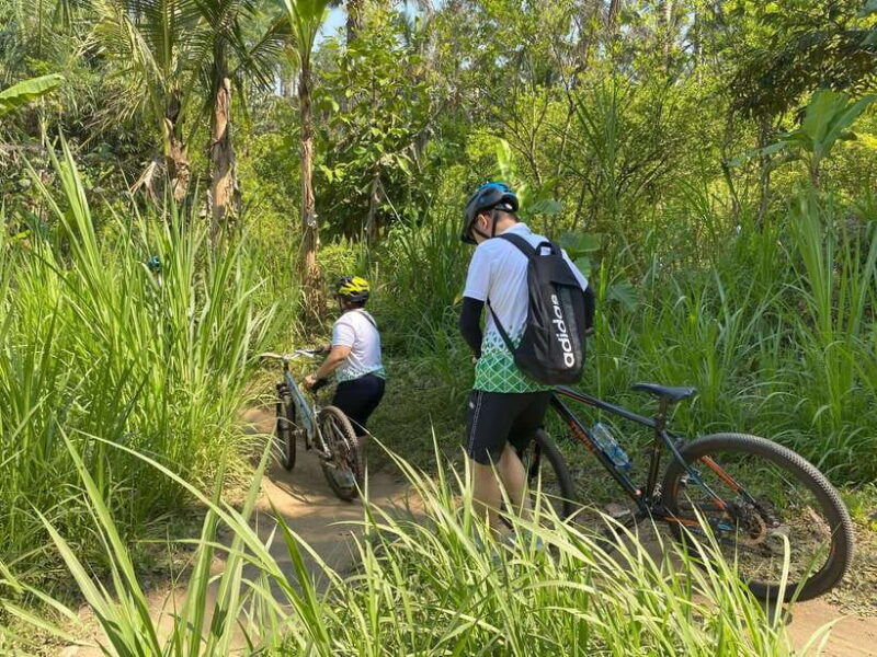 ubud-private-e-bike-tour-inside-rice-field-with-meal-pool