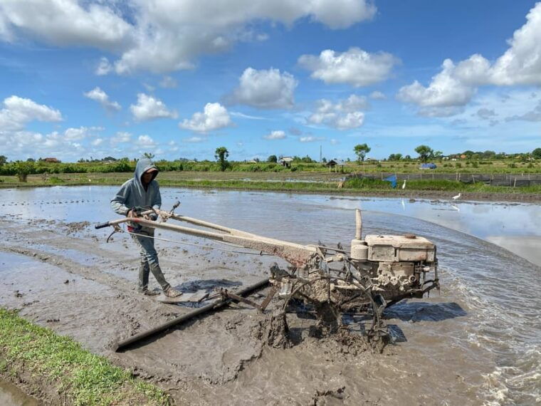 ubud-private-e-bike-tour-inside-rice-field-with-meal-pool