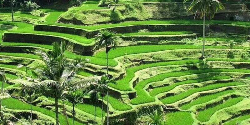 ubud-private-evening-tour-with-legong-dance-performance