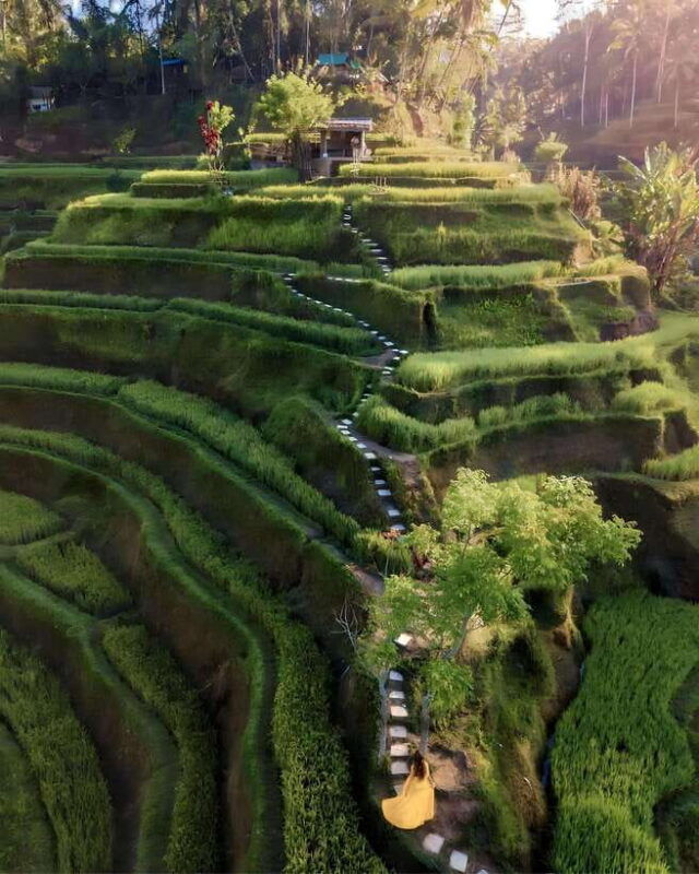 ubud-private-hidden-waterfalls-and-rice-terrace-tour