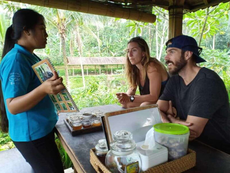 ubud-private-hidden-waterfalls-and-rice-terrace-tour