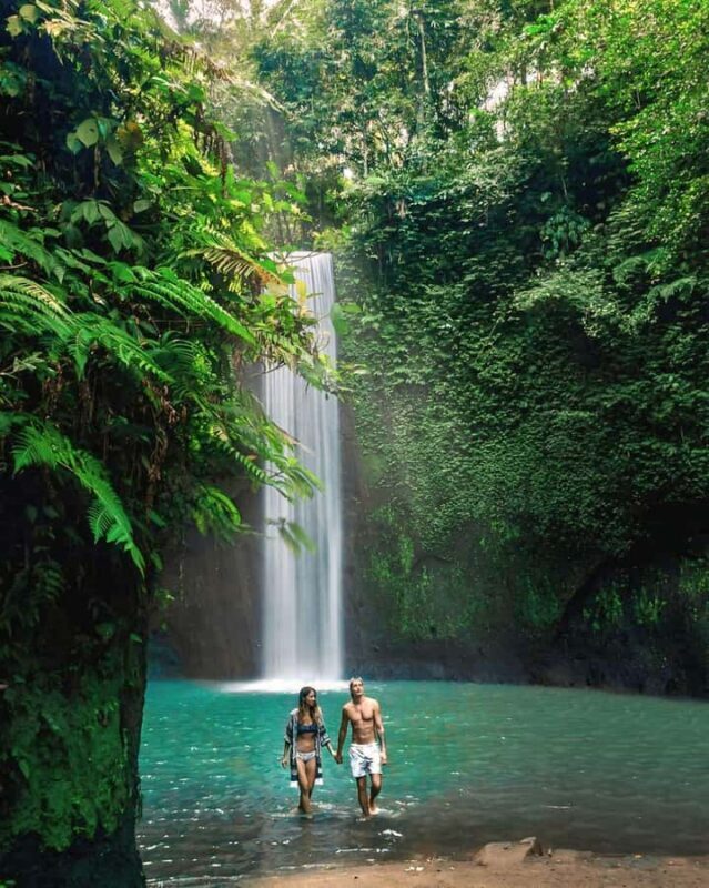 Ubud: Private Scenic Waterfalls and Rice Terraces Tour - FAQ