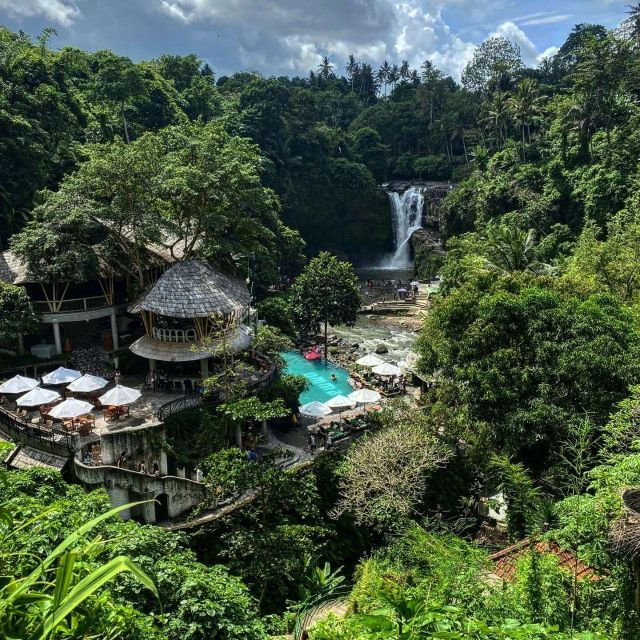 ubud-private-tour-monkey-forest-rice-terraces-waterfall