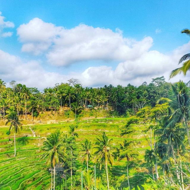 ubud-private-tour-monkey-forest-rice-terraces-waterfall