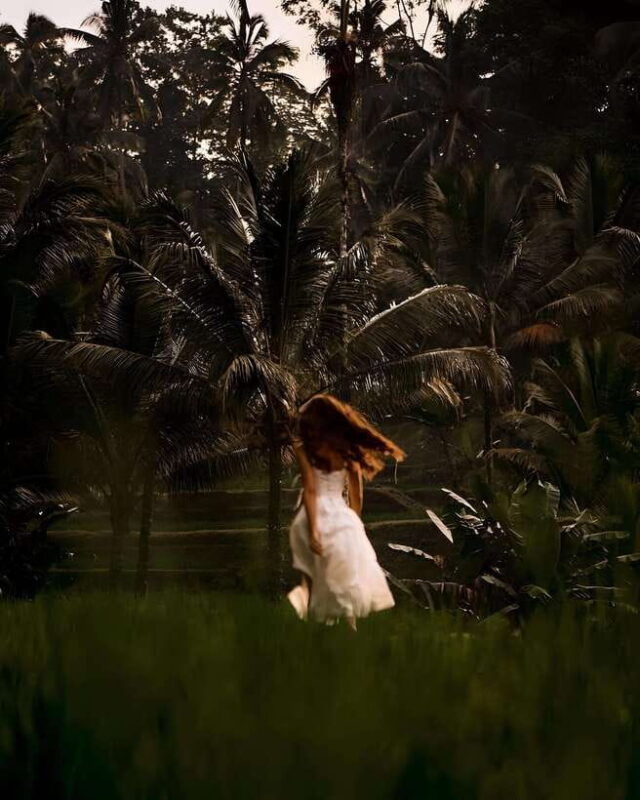 ubud-private-tour-of-temples-waterfalls-rice-terraces