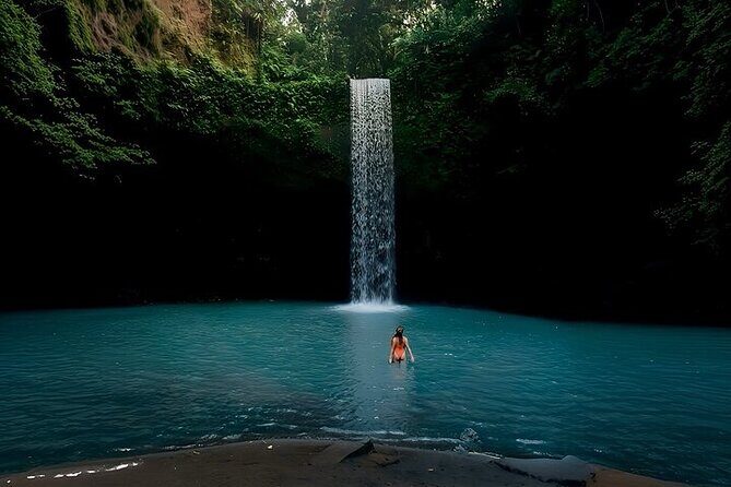 UBUD Private Tour  Rice Terrace, Jungle Swing & Hidden Waterfall - Transport & Practical Details