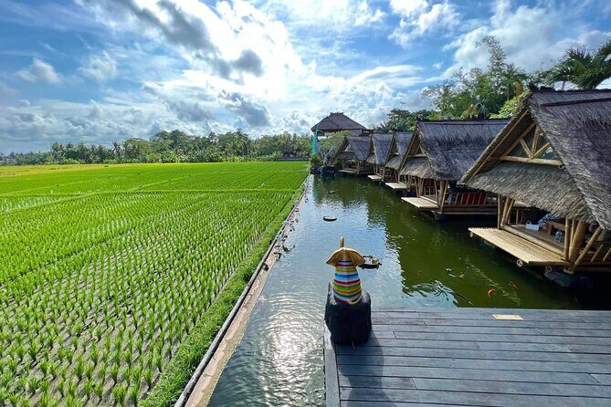 Ubud Private Tour Sightseeing and Waterfall - An In-Depth Look at the Ubud Private Tour Experience