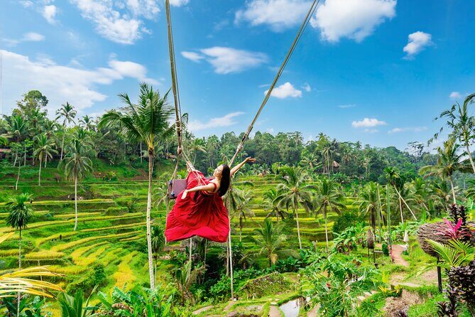Ubud Private Tour: Waterfalls, Temple and Rice Terraces Swing - Introduction