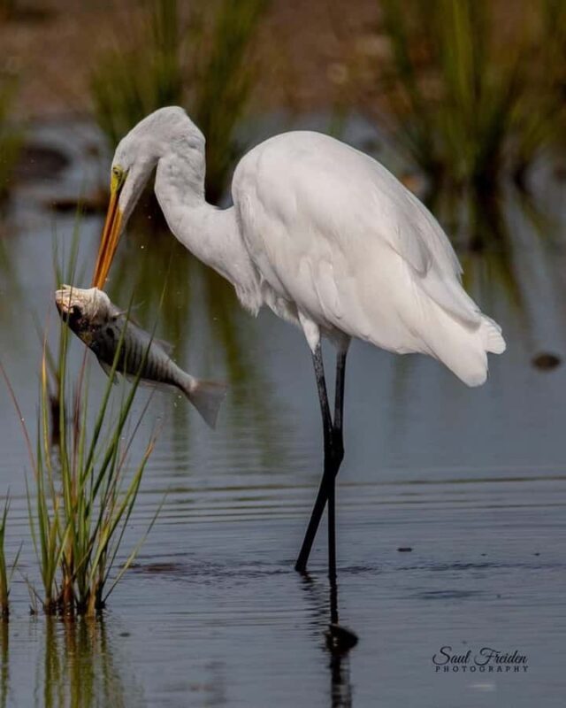 Ubud: Private Tour with Gunung Kawi Temple & Waterfall - A Day in Ubud: What to Expect from the Tour