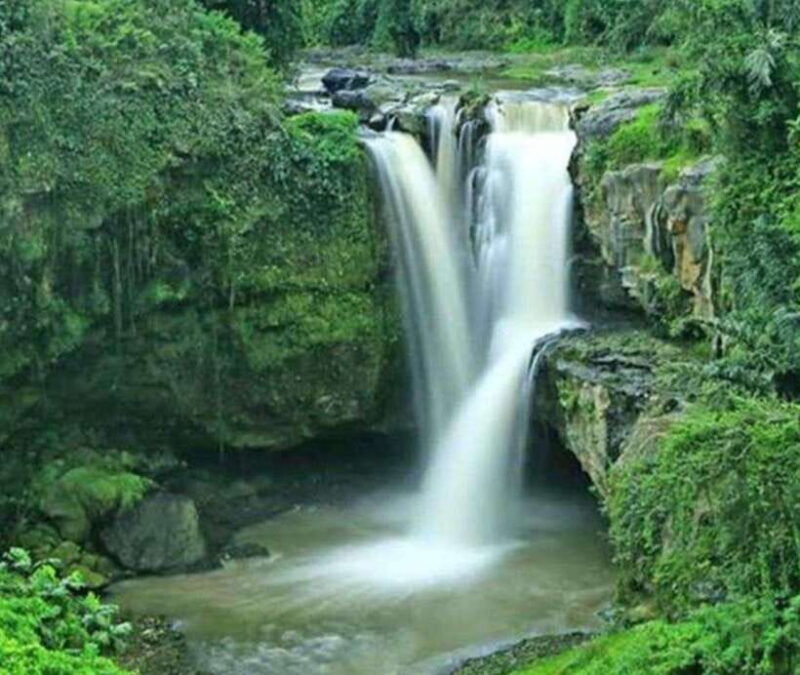 ubud-private-touratvrice-terracewaterfalls