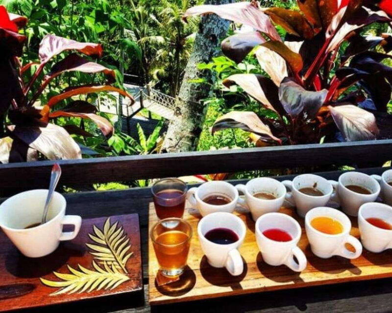 ubud-private-ubud-sightseeing-waterfall-tour-with-transfers