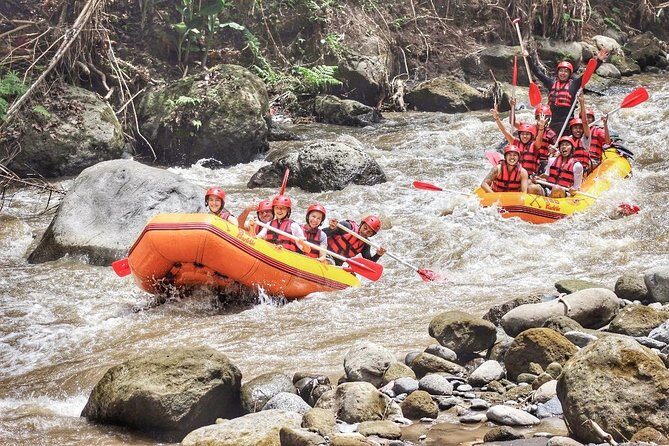 Ubud Rafting With Private Return Transport - What to Expect from the Ubud Rafting Tour